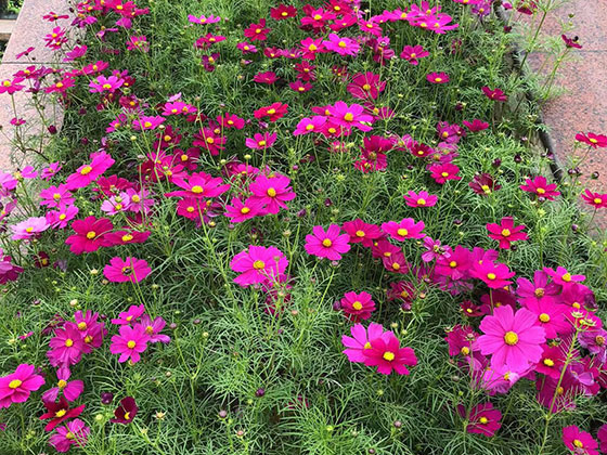 六安仿真花花艺|花艺空间设计